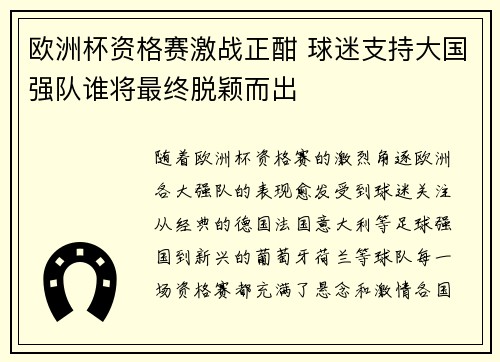 欧洲杯资格赛激战正酣 球迷支持大国强队谁将最终脱颖而出