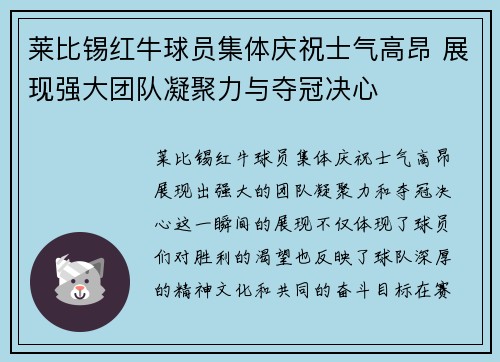 莱比锡红牛球员集体庆祝士气高昂 展现强大团队凝聚力与夺冠决心